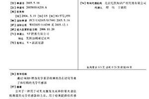 通过SERS增强化学基团检测的具有层化等离子体结构的光学传感器