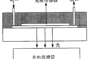 硅烷交联壳聚糖膜基的流动注射化学发光免疫检测池及制备方法