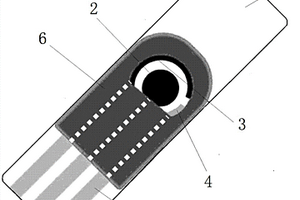 石墨烯试纸电极及其建立的基于电化学的重金属检测仪