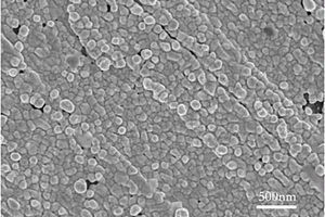 石墨烯信号放大的微囊藻毒素-LR电化学检测方法
