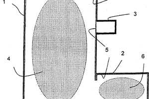 用于检测化学或生物物质的装置及用于清洁该装置的方法