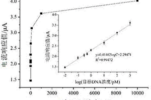 基于可控自组装镊子结构电化学检测单链目标DNA的方法