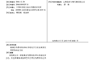 检测含鸟嘌呤的DNA的电化学方法及利用其的防伪认证方法