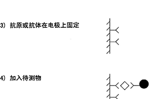 导电微粒子介导电化学发光信号的免疫检测方法