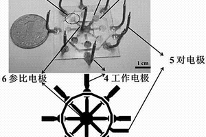 用于检测细菌的阵列式多重电化学恒温扩增芯片及其制备方法