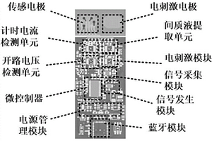 电化学间质液提取肌肉疲劳检测与电调控方法及装置