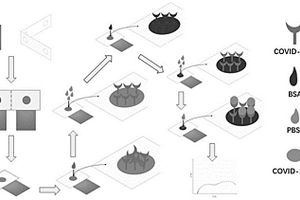 用于检测新型冠状病毒抗原的三电极体系电化学传感器