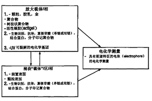 电化学检测法