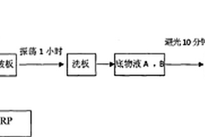 透明质酸一步法化学发光定量检测试剂盒