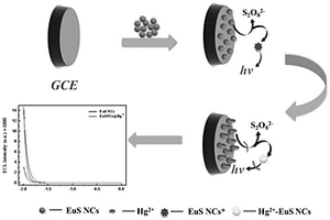 用于Hg<Sup>2+</Sup>检测的电致化学发光传感器的制备方法