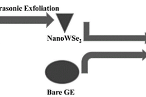 纳米二硒化钨修饰金电极光致电化学传感器检测多巴胺的方法