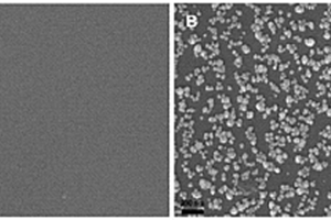 碳纸-金纳米颗粒复合电极检测NADH的电化学方法
