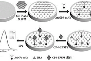 检测作物中CP4-EPSPS蛋白的电化学免疫传感器