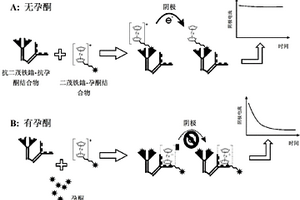 电化学检测结合反应的方法