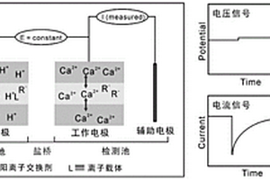 基于离子迁移放大效应的聚合物敏感膜的高精度电化学检测方法