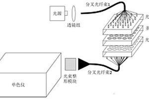 基于光纤阵列的微化学反应器阵列实时光谱检测系统和方法