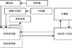 用于连续培养、采样与实时检测的微生物电化学系统