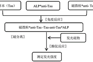 用于检测Tau蛋白(TAU)的磁微粒分离化学发光免疫测定法