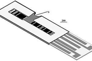 用于检测肾功能指标的电化学测试条