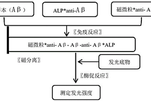 用于检测β淀粉样蛋白(Aβ)的磁微粒分离化学发光免疫测定法