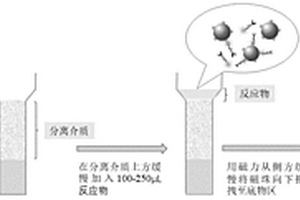 免清洗磁微粒化学发光免疫检测方法