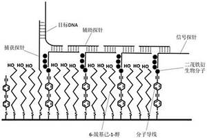 超灵敏的DNA电化学检测方法、试剂以及系统