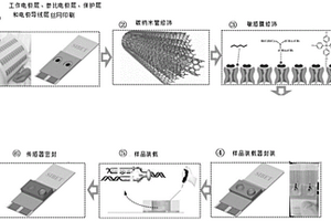 用于检测病毒的电化学传感器及其制备方法