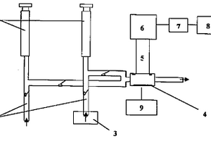 原位电化学发光检测方法及其装置