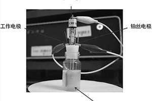 检测水体毒性的双信号生物电化学方法