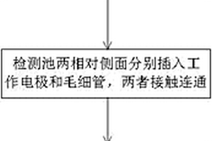 芯片毛细管电泳电化学检测装置的制作方法