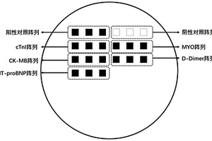 同时检测多种心肌标志物的化学发光微阵列芯片及试剂盒