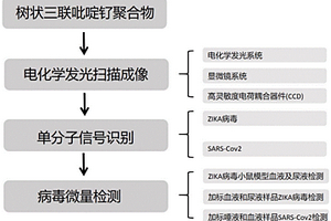 运用电化学发光扫描成像系统的新发病毒痕量检测方法