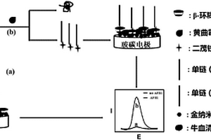 电化学适体传感器检测黄曲霉毒素B1的方法