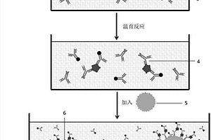 基于量子点标记的电化学检测方法