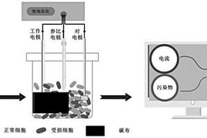 基于悬浮态电化学活性微生物实现水质毒性快速检测的方法