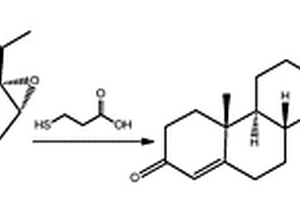 黄体酮的磁免疫化学发光检测试剂盒及其应用