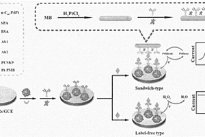 用于PCSK9蛋白检测的电化学免疫传感器制备方法