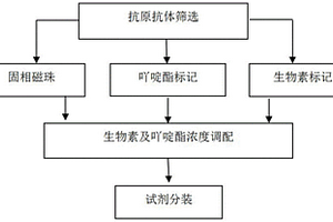 异常凝血酶原化学发光免疫检测试剂盒及其制备方法