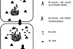 单个靶实体的免疫化学检测