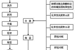 呋喃妥因化学发光检测试剂盒