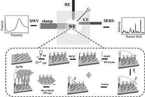 用于miRNA检测的SERS-电化学双模传感器、其制备方法及其应用