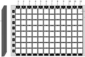 用于电化学免疫检测的可拆卸微孔板