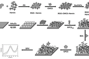 基于RGO-CMCS-Hemin/Pd NPs电化学传感器检测GPC3的方法