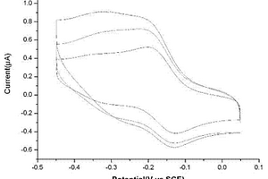 检测核因子-kappaB的生物电化学传感器、其制备方法及其应用