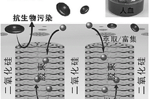 人血中抗生素含量的电化学检测方法