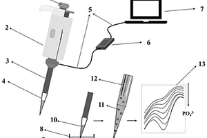 快速检测水体溶解态无机磷的电化学方法