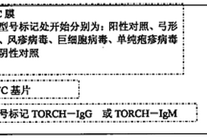 干化学法TORCH检测试剂盒及其制造方法