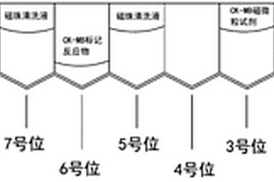 肌酸激酶同工酶磁微粒化学发光定量检测试剂盒及其使用方法