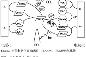 电化学发光检测金属离子的方法