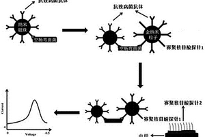 检测致病菌的电化学传感器、制备方法及其应用